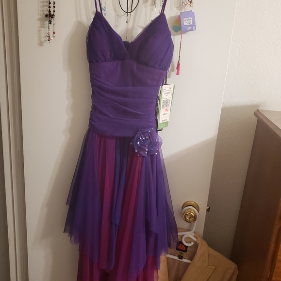 Masquerade Dresses & Skirts - Masquerade tulle dress (sugar plum fairy dress).